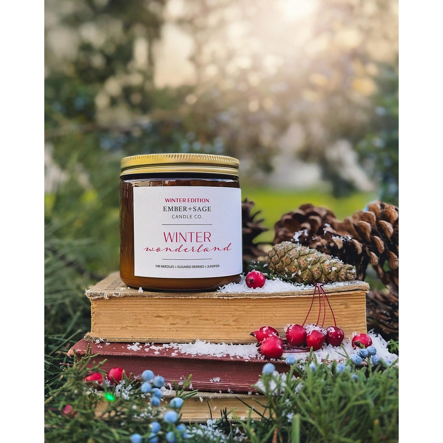 Winter Wonderland | Winter Edition | Hand-Poured Soy Coconut Wax Candle | 16oz with Double Wick