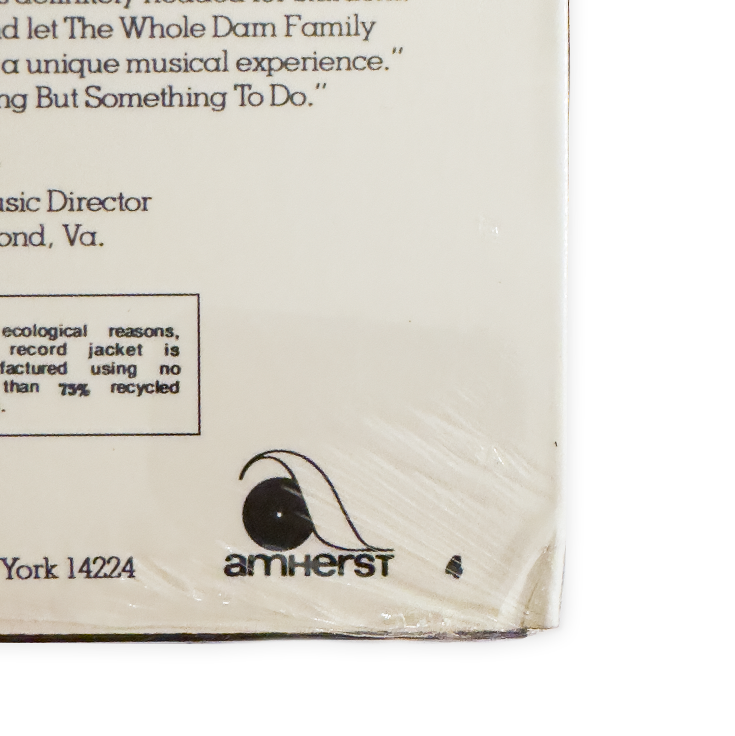 The Whole Darn Family "Has Arrived" Vinyl Record - Premium Virgin Vinyl